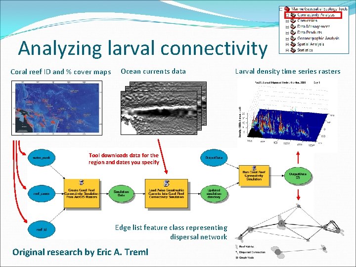 Analyzing larval connectivity Coral reef ID and % cover maps Ocean currents data Tool