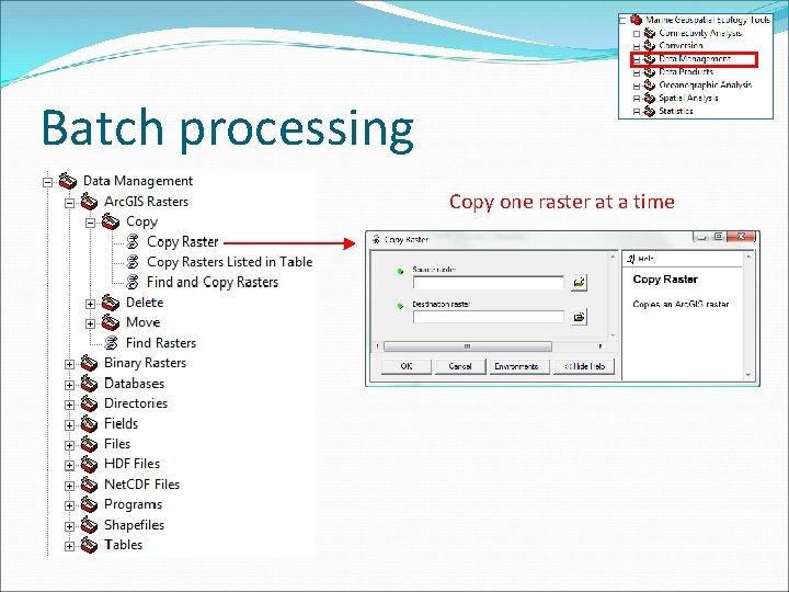 Batch processing Copy one raster at a time 
