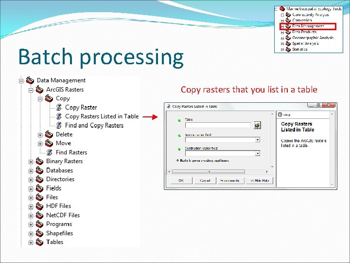 Batch processing Copy rasters that you list in a table 
