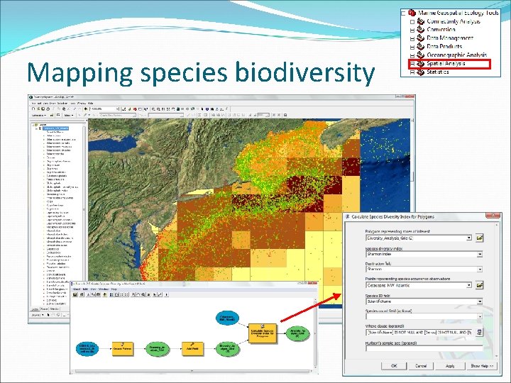 Mapping species biodiversity 