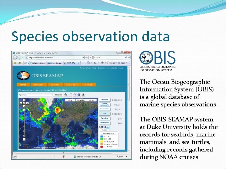 Species observation data The Ocean Biogeographic Information System (OBIS) is a global database of
