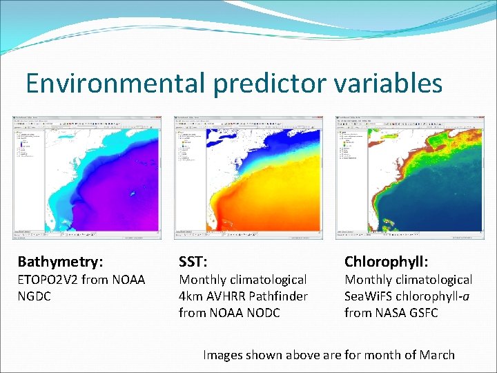 Environmental predictor variables Bathymetry: ETOPO 2 V 2 from NOAA NGDC SST: Monthly climatological