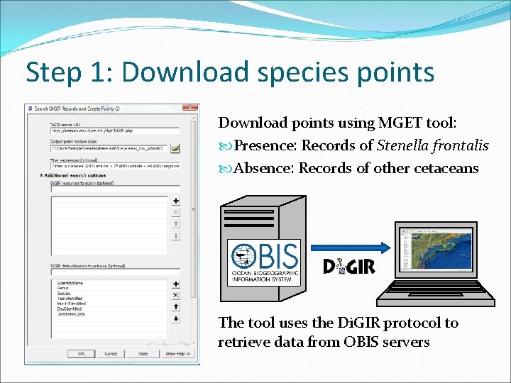 Step 1: Download species points Download points using MGET tool: Presence: Records of Stenella