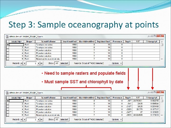 Step 3: Sample oceanography at points • Need to sample rasters and populate fields