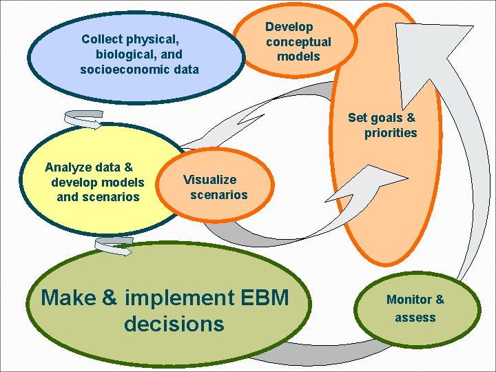 Collect physical, biological, and socioeconomic data Develop conceptual models Set goals & priorities Analyze