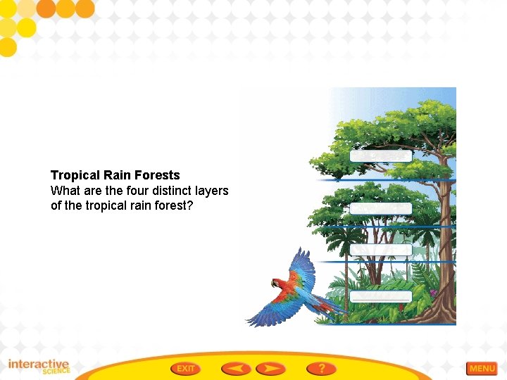 Tropical Rain Forests What are the four distinct layers of the tropical rain forest?