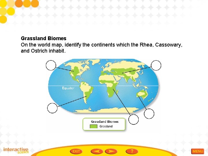 Grassland Biomes On the world map, identify the continents which the Rhea, Cassowary, and