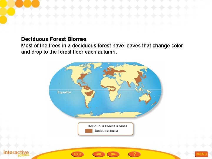 Deciduous Forest Biomes Most of the trees in a deciduous forest have leaves that