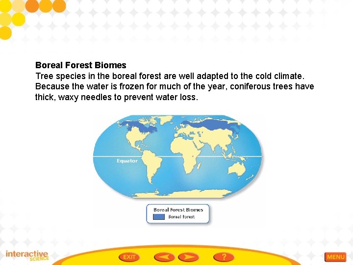 Boreal Forest Biomes Tree species in the boreal forest are well adapted to the