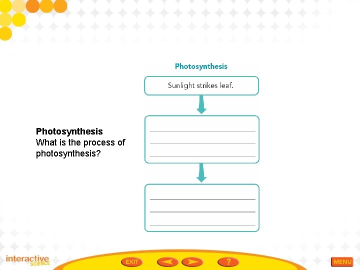 Photosynthesis What is the process of photosynthesis? 