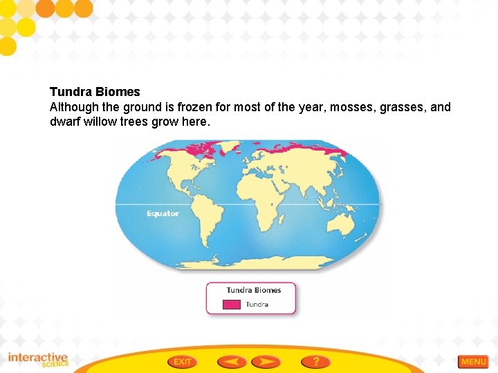 Tundra Biomes Although the ground is frozen for most of the year, mosses, grasses,