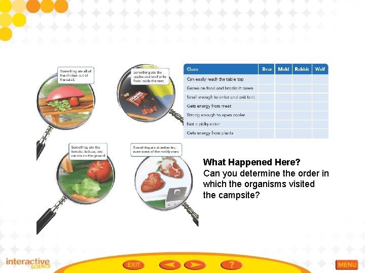 What Happened Here? Can you determine the order in which the organisms visited the