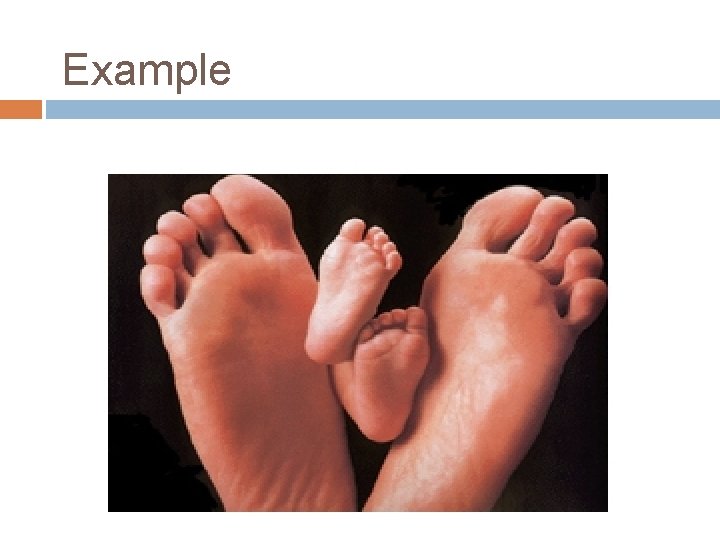 Example Example