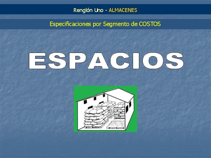 Renglón Uno - ALMACENES Especificaciones por Segmento de COSTOS 