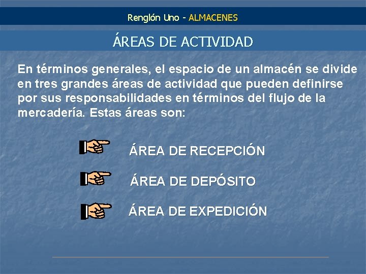 Renglón Uno - ALMACENES ÁREAS DE ACTIVIDAD En términos generales, el espacio de un