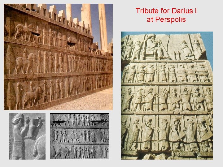 Tribute for Darius I at Perspolis 