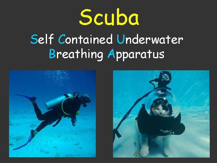 Scuba Self Contained Underwater Breathing Apparatus 