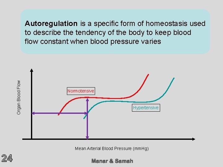Organ Blood Flow Autoregulation is a specific form of homeostasis used to describe the
