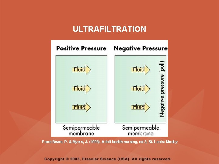 ULTRAFILTRATION From Beare, P. & Myers, J. (1998). Adult health nursing, ed 3, St.