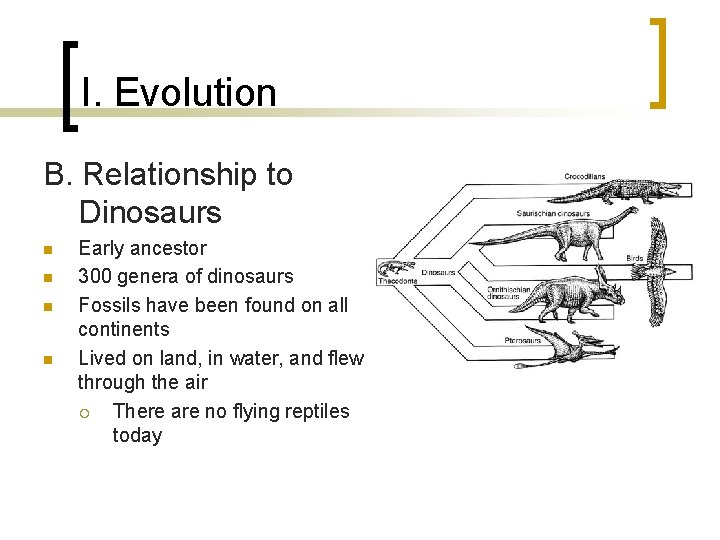 I. Evolution B. Relationship to Dinosaurs n n Early ancestor 300 genera of dinosaurs I. Evolution B. Relationship to Dinosaurs n n Early ancestor 300 genera of dinosaurs