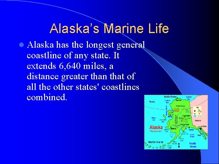 Alaska’s Marine Life l Alaska has the longest general coastline of any state. It