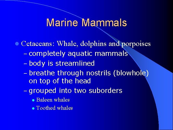 Marine Mammals l Cetaceans: Whale, dolphins and porpoises – completely aquatic mammals – body