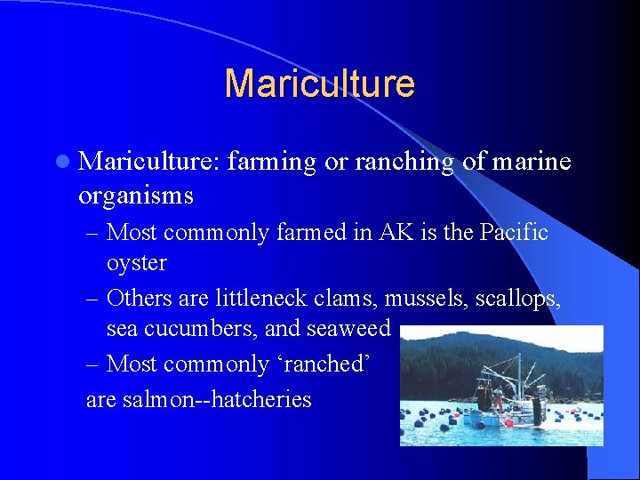 Mariculture l Mariculture: farming or ranching of marine organisms – Most commonly farmed in