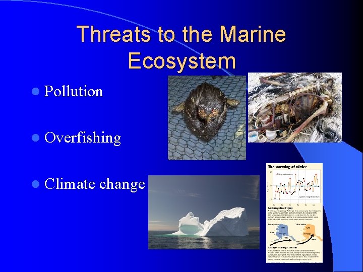 Threats to the Marine Ecosystem l Pollution l Overfishing l Climate change 