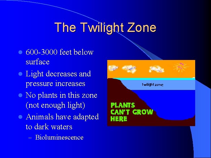 The Twilight Zone 600 -3000 feet below surface l Light decreases and pressure increases