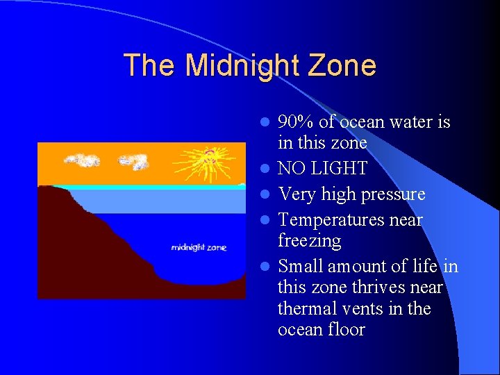 The Midnight Zone l l l 90% of ocean water is in this zone