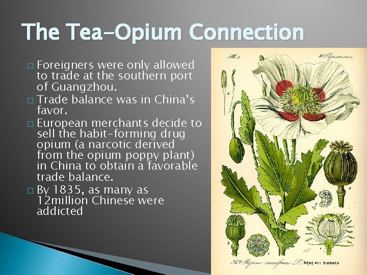 The Tea-Opium Connection Foreigners were only allowed to trade at the southern port of