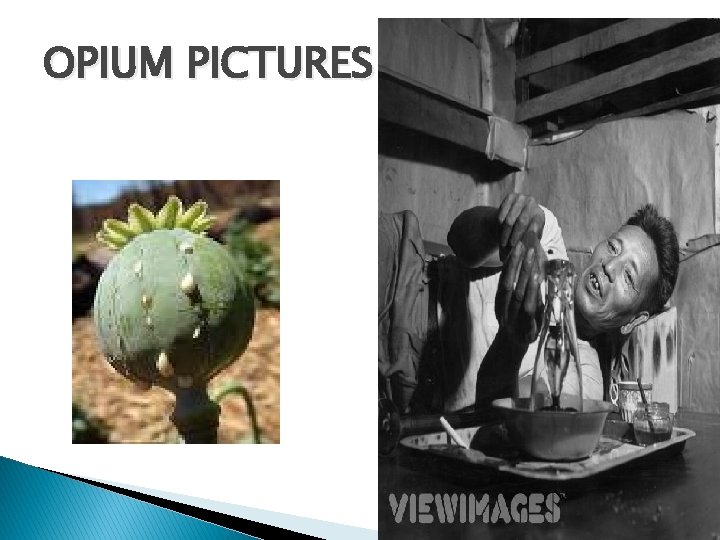 OPIUM PICTURES 