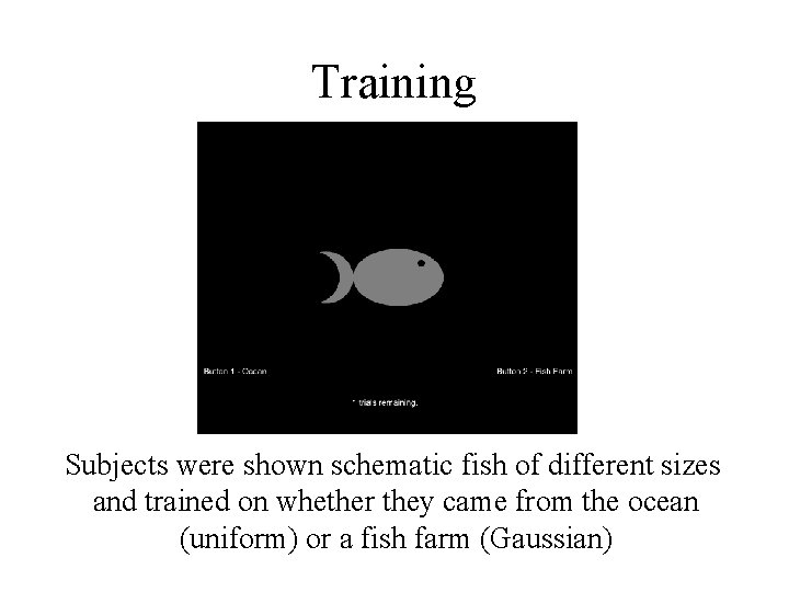 Training Subjects were shown schematic fish of different sizes and trained on whether they