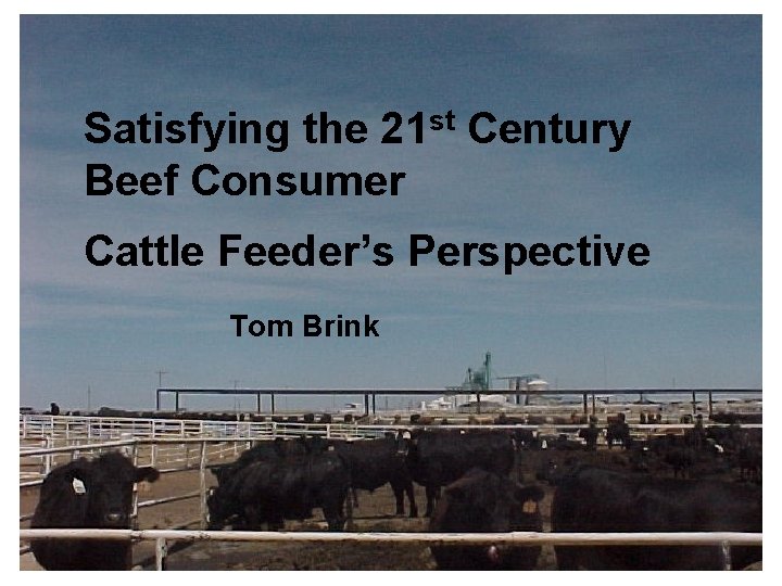 Satisfying the 21 st Century Beef Consumer Cattle Feeder’s Perspective Tom Brink 