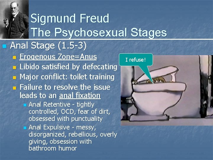 Sigmund Freud The Psychosexual Stages n Anal Stage (1. 5 -3) n n Erogenous