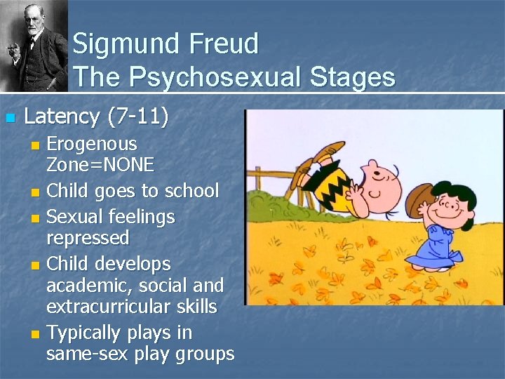 Sigmund Freud The Psychosexual Stages n Latency (7 -11) Erogenous Zone=NONE n Child goes