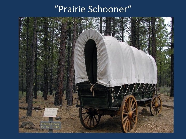 “Prairie Schooner” 