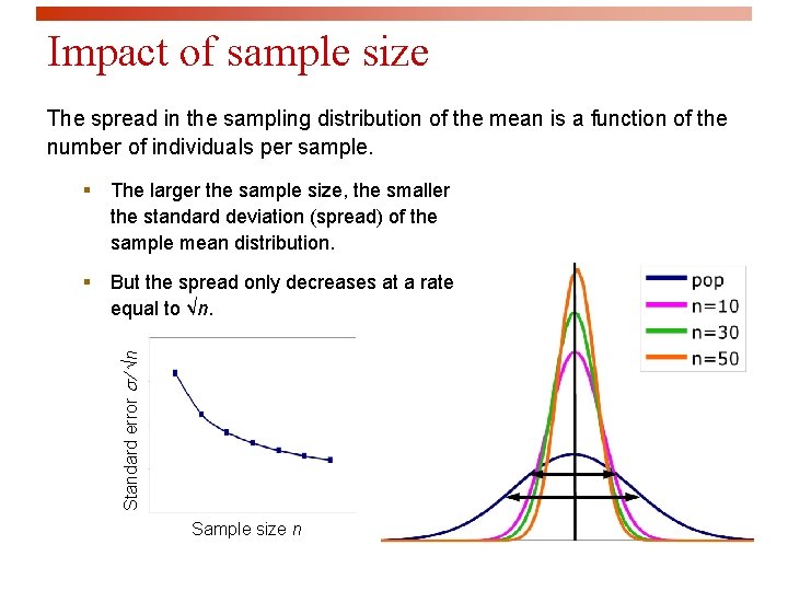 Impact of sample size The spread in the sampling distribution of the mean is