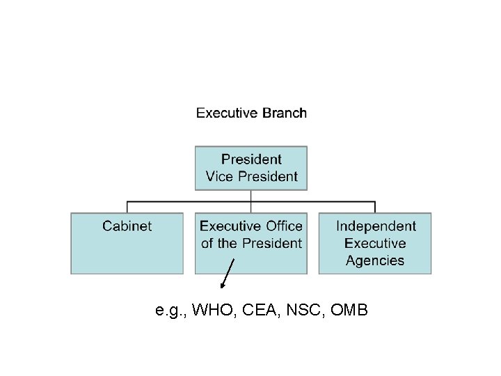 e. g. , WHO, CEA, NSC, OMB 