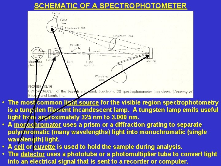 SCHEMATIC OF A SPECTROPHOTOMETER • The most common light source for the visible region