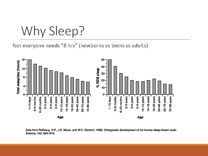 Why Sleep? Not everyone needs “ 8 hrs” (newborns vs teens vs adults) 
