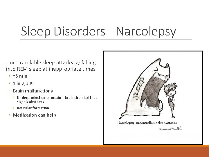 Sleep Disorders - Narcolepsy Uncontrollable sleep attacks by falling into REM sleep at inappropriate