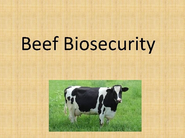 Beef Biosecurity 