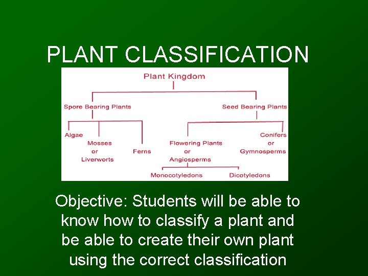 PLANT CLASSIFICATION Objective: Students will be able to know how to classify a plant