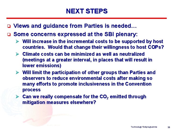 NEXT STEPS o o Views and guidance from Parties is needed… Some concerns expressed