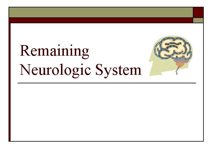 Remaining Neurologic System 