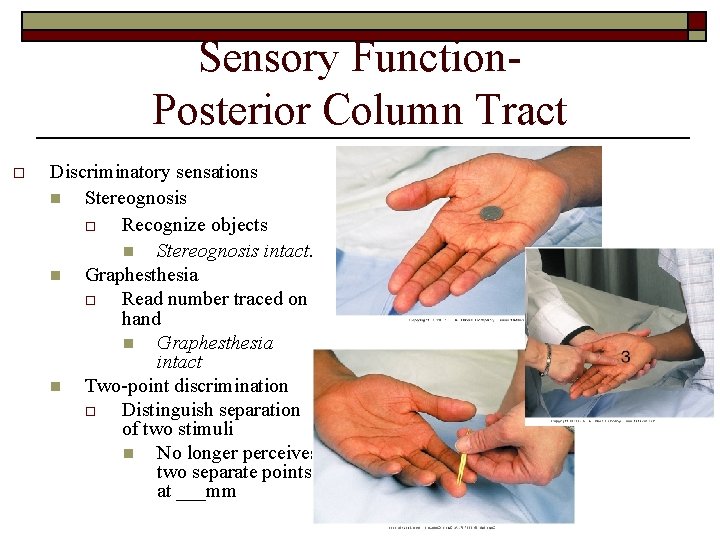 Sensory Function. Posterior Column Tract o Discriminatory sensations n Stereognosis o Recognize objects n