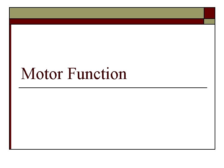 Motor Function 