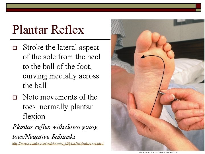 Plantar Reflex o o Stroke the lateral aspect of the sole from the heel