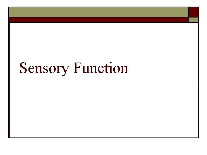 Sensory Function 